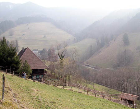 Haus